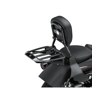 y54291-11zn[[ GAtHCEv~AEQbWbN OXubNAir Foil Luggage Rack EVO\teC TC\teC X|[cX^[ _Ci