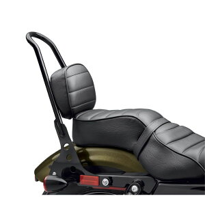 y52400127zn[[ pbZW[sI f16XL883NX^CPassenger Pillion X|[cX^[