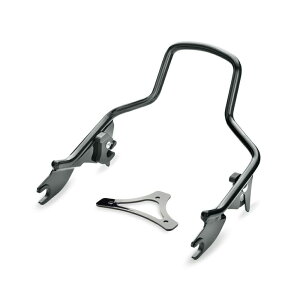 y54248-09Azn[[ H-Df^b`uEpbZW[V[V[o[AbvCgH-D Detachables Sissy Bar Upright EVOc[O M8c[O&gCN TCc[O&gCN