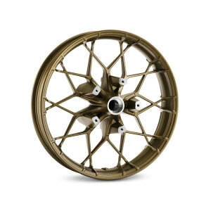 y43300674zn[[ H-DvfBW[EJX^zC[ 19C`EtgH-D Prodigy 19 in. Front Wheel EVOc[O M8c[O&gCN TCc[O&gCN
