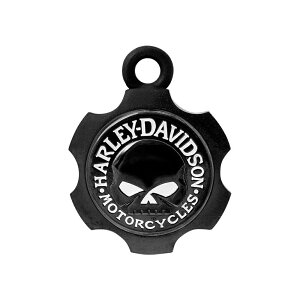 n[[ K[fBAx HARLEY-DAVIDSON ubNANZXJChx