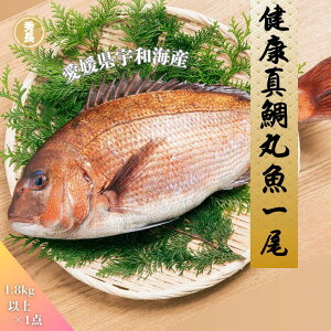 N^ۋ|QY@FaCY@@j@p[eB@uh@؁@GY@Fa@@Ε@@v[g@蕨@①