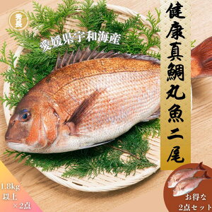 N^ۋ|QY@FaCY@@j@p[eB@uh@؁@GY@Fa@@Ε@@v[g@蕨@Ă@ϕt@hg@߂@