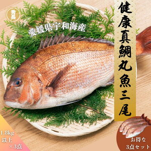 N^ۋO|QY@FaCY@@j@p[eB@uh@؁@GY@Fa@@Ε@@v[g@蕨@Ă@ϕt@hg@߂@