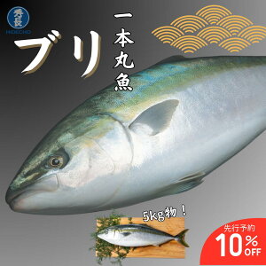 y\񏤕izy113023:59܂ s\10%ItzyΖi20,000~Ŕs\18,000~Ŕzy125`1230zu{ۋ@5kg@①@VN@Nx@ȃu@Q@