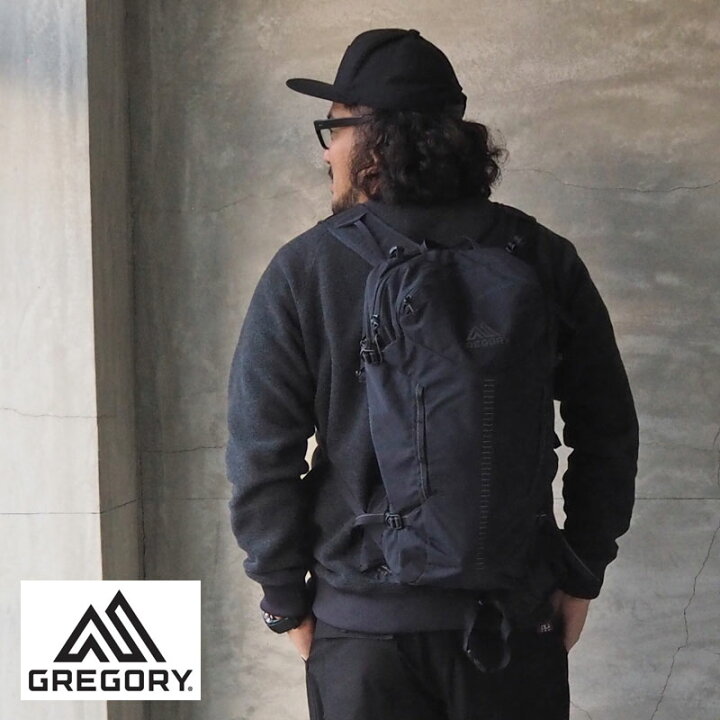 楽天市場】GREGORY グレゴリー リュック レイブン 18 デイパック 