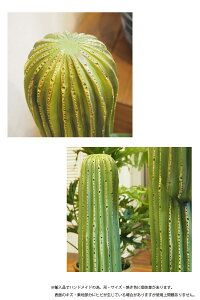 DULTONダルトンサボテンインテリアCACTUSB72cmK655-657Bさぼてん造花観葉植物置物フェイクオブジェグリーンカクタス雑貨人気おしゃれプレゼントお祝い大きい柱サボテン送料無料