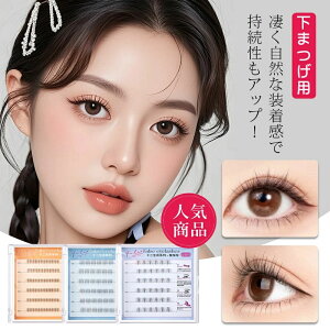 _Vi撅10lz^̂sv ܂ p ܂ p ȒP ܂ ̂t܂ ܂ ̂sv   ܂ i`   R ubN  