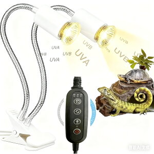 _1Nۏ؁N[|p2980~^JeX ঒ Cg ^C}[@\ ͒ރq[^[ Nbv OCg fAwbh VOwbh uvCg uvaCg uvbCg ঒ޗp 