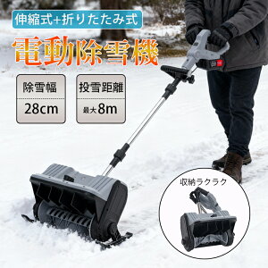 y2025NV z^ @ [d d@ R[hX ᕝ28cm/[14cm ዗ő8m y3.4kg ܂肽݃RpNg[ 650W E60°\ É&SXCb` ƒp 