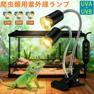 yI10%OFFz঒ q[^[ ঒ Cg y3dtz Tp v^C UVBCg OCg ^C}[ xǗ q[^[ ~p 邳\ ۉCg UVB UVa 