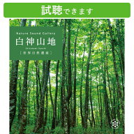 (試聴できます) [ 自然音・山 ] 白神山地 | ヒーリング リラックス ネイチャーサウンド 音楽 癒し ミュー…