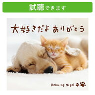 (試聴できます) [ J-POP ] 大好きだよ ありがとう | ヒーリング 音楽 癒し リラックス ミュージック ギフ…