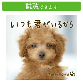 (試聴できます) [ J-POP ] いつも君がいるから | オルゴール α波オルゴール ヒーリング 音楽 癒し ミュージック 睡眠 夜泣き 赤ちゃん リラックス ストレス解消 安眠 α波 人気 定番 J-POP あいみょん 髭男 優里 BTS 嵐 YOASOBI CD BGM 送料無料 オルゴールcd アルバム