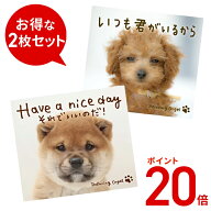 【ポイント20倍 9/17(木) 10時まで】(試聴できます) 頑張るあなたへ贈る α波オルゴールセット| ヒーリン…