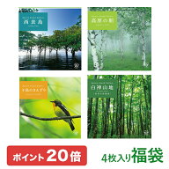 【ポイント20倍 9/17(木) 10時まで】 聴く森林浴〜自然音のやすらぎセット | ヒーリング ミュージック 音…