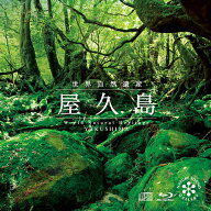 (試聴できます) [ 自然音・山 ] 屋久島 [ +Blu-ray ] | 音楽 曲 癒し ヒーリングミュージック 自然音 滝 …