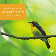 (試聴できます) [ 自然音・山 ] 小鳥のさえずり | 音楽 曲 癒やし 癒し 自然音 自然 音 リラックス 瞑想 …