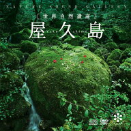 (試聴できます) [ 自然音・海 ] 世界自然遺産 屋久島 [ +DVD ] | 音楽 曲 癒し ヒーリングミュージック …