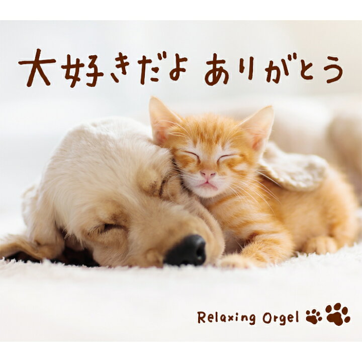 楽天市場 大好きだよ ありがとうヒーリング Cd Bgm 音楽 癒し グッズ リラックス ミュージック アルバム ギフト プレゼント 睡眠 寝かしつけ オルゴール 主題歌 人気 ドラマ 米津玄師 髭男 試聴可 送料無料 曲 イージーリスニング 癒しの音楽 ヒーリングプラザ