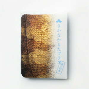 邽 t Ȃ邽vX `̋/C̒ދ CŗVׂ   낱 C h  J[hQ[ m  ߋ v[g ii 蕨 Mtg 