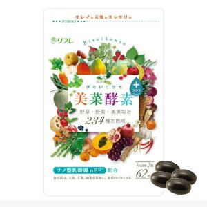 �y�䂤�p�P�b�g����240�~�z�y�f �T�v�������g ���t�� ���؍y�f�v���X 62�� ��1�J���� 234��ނ̖�� �ʕ� �쑐 �C�� ���I�f�� �A�����y�G�L�X ���N�H�i �������� �l�C