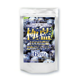 ※ゆうパケット送料無料※ 『極藍100倍濃縮北欧産 ビルベリー　大容量約6ヵ月分 300mg×360粒』