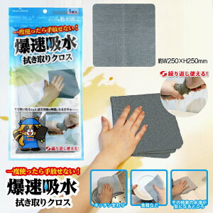 y䂤pPbg240~z xm z @ NX 250×250mm xgȂ JԂg  | Lb` H  H