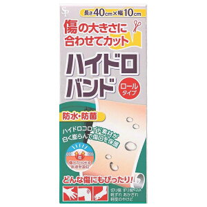 nChoh [^Cv 10cm×40cm 1 TCLEEt@[} ~} ΂񂻂 Jnp ʈË@ nChRCh S z h h ؂菝 菝 } C 