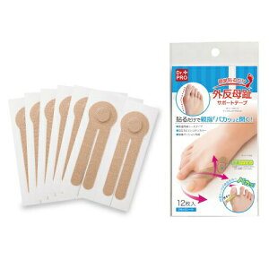 䂤pPbgE`OX֑ wȒP\邾 O T|[ge[v@12(2×6V[g)x