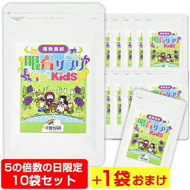 子供 目のサプリ 【眼育サプリ】 10袋セット＋1袋おまけ お得な11袋 【送料無料】 サプリ ブルーベリー ビタミン ルテイン 眼育サプリ キシリトール 配合 子ども サプリ こども サプリメント めいくサプリ 子供用サプリメント ホームワック 視力検査表 目育サプリ アイケア