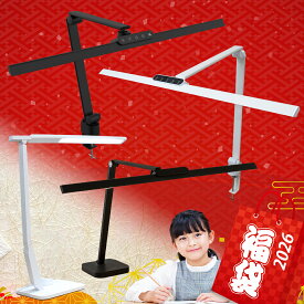 福袋 2026 【2台選べる★LEDデスクライト福袋】 送料無料 （ お好きな 自然光デスクライト 2台） ワイド デスクライト LED デスクランプ LEDライト 学習机 仕事用 学習用 デスクランプ 目に優しい 自然光 広い 自然光LEDデスクライト テレワーク クランプ ベース