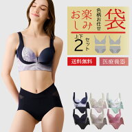 色柄お任せブラショーツ上下セット2組 福袋 お楽しみ袋 リカバリーブラ リカバリーショーツ リカバリーウ…
