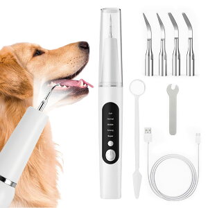 ybgo@ gN[i[ puV USB[d 5[h߉ LEDƖ N[jOLbg uV uV^ LpuV LuV g Lp 