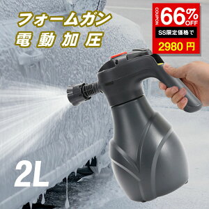 _SS^66%OFF2980~dtH[K tH[K dAXv[  ԃtH[K 2L e   dXv[ 傤 USB[d ~Ȃ d ~