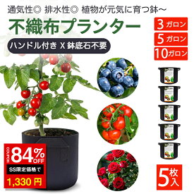 ＼SS激安／84%OFF→1330円／不織布プランター 10ガロン 5枚入り ハンドル付き 不織布ポット 布鉢 布袋 プランター 植木鉢 軽い 軽量 フェルト 家庭菜園 育苗 園芸 黒 布鉢 プランター ガーデニング用品 深鉢 鉢植え 栽培袋 38L 幅40 高30cm