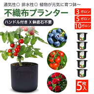 ＼10%OFFクーポン／不織布プランター 10ガロン 5枚入り ハンドル付き 不織布ポット 布鉢 布袋 プランター…