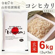 楽天市場】玄米 60k（玄米｜米・雑穀）：食品の通販
