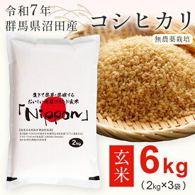 玄米 6kg (2kg×3袋) 【令和7年産】 群馬県沼田産 コシヒカリ 栽培期間中農薬不使用 低温乾燥仕上げ