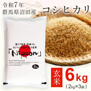 玄米 群馬」の人気商品一覧・価格比較 - 価格.com
