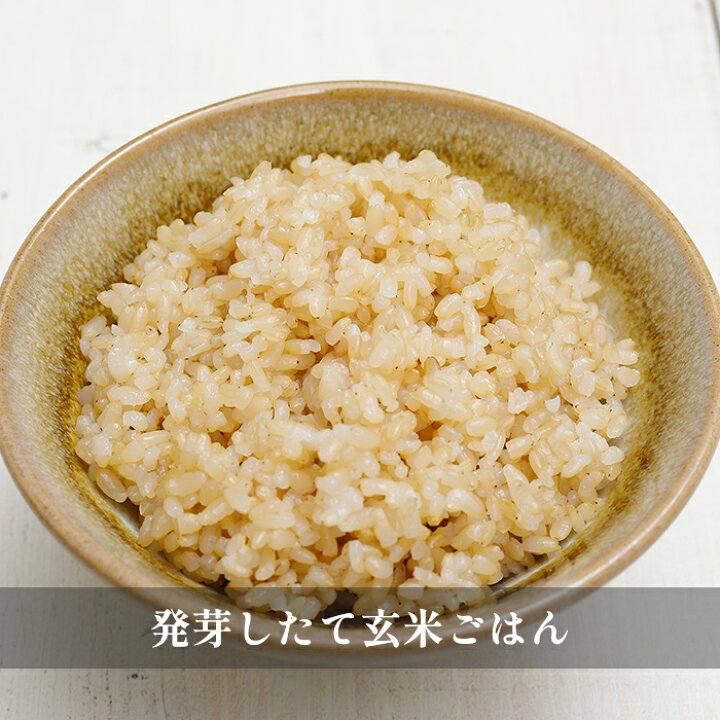楽天市場】酵素玄米 炊飯器 | なでしこ健康生活 NHL-3 (w) [公式] | 3 