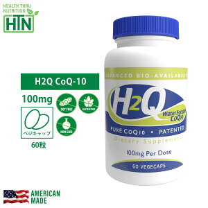 H2Q CoQ-10 100mg NON-GMO 60 3Zbg 8{z `qg݊ AJ \tgWFJvZ Tvg Tv NHi N č USA