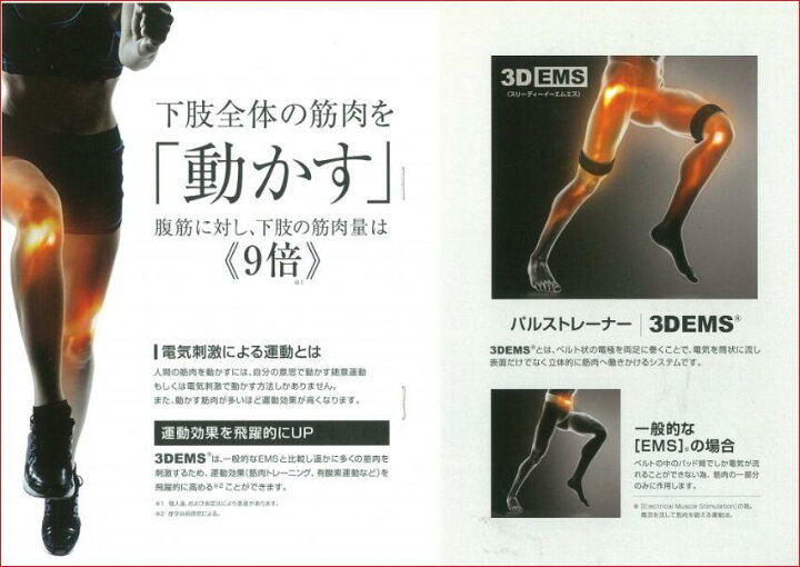 楽天市場】パルストレーナー 3DEMS 3年保証（※当店の3年保証）【送料 