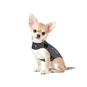sɘaVc T_[Vc NVbN O[ XXS   Ck  ԉ sɘa Thunder shirt
