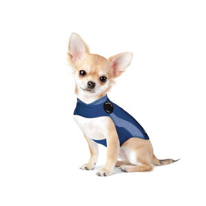 sɘaVc T_[Vc u[ | XXS   Ck  ԉ sɘa Thunder shirt