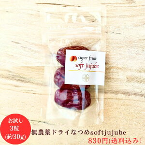 _ ɏhCȂ SOFT JUJUBE 3(30g) ^Cv Ȃ  I[KjbN L@ sgp ic g  ic L@ Ȃ  TQ^ V Dw S t_  
