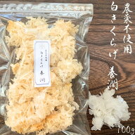 【クーポン配布中】乾燥 白きくらげ 養潤 100g 白キクラゲ 農薬不使用 白木耳 乾燥きくらげ 乾燥キクラゲ…