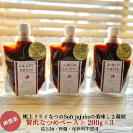 なつめペースト 200g 3個 セット 無農薬 なつめ ドライナツメ ペースト パンのお供 ヨーグルト トッピング パンに塗る ジャム 棗 オーガニックジャム オーガニック なつめ茶 棗茶 有機棗 フルーツジュレ フルーツジャム 美味しいジャム パック 薬膳 妊婦 鉄分 補給 葉酸