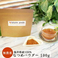 【国産無農薬】なつめパウダー100g（福井県産）/棗 ナツメ なつめ茶 漢方 薬膳食材 国産ナツメ 無農薬 ド…