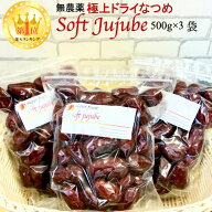 【クーポン配布中】極上 ドライ なつめ 500g 3袋 ナツメ 無農薬 オーガニック 棗 ドライフルーツ ドライ…